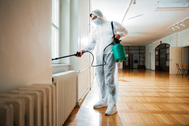 Best Residential Pest Control  in Long Lake, IL